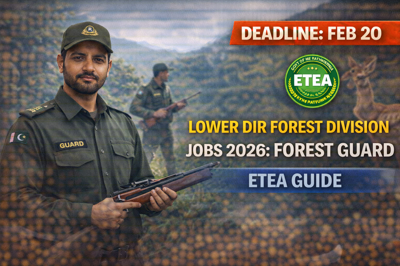 Lower Dir Forest Division Jobs 2026